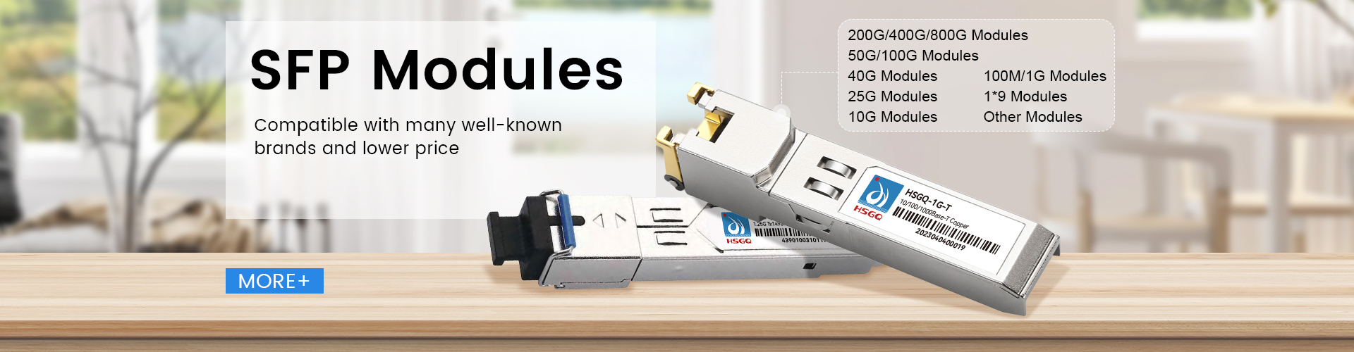 10 gig sfp modules on switch 光纤SFP模块
