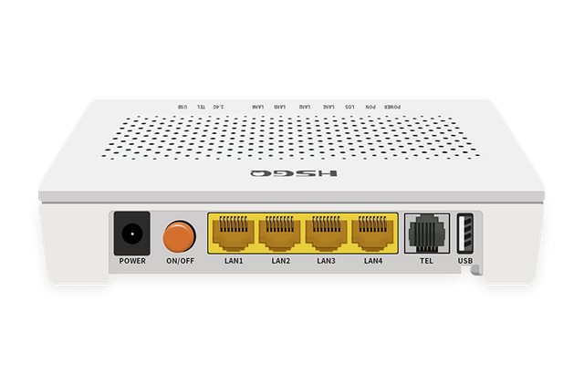 1GE+1FE+1锅，1USB XPON onu