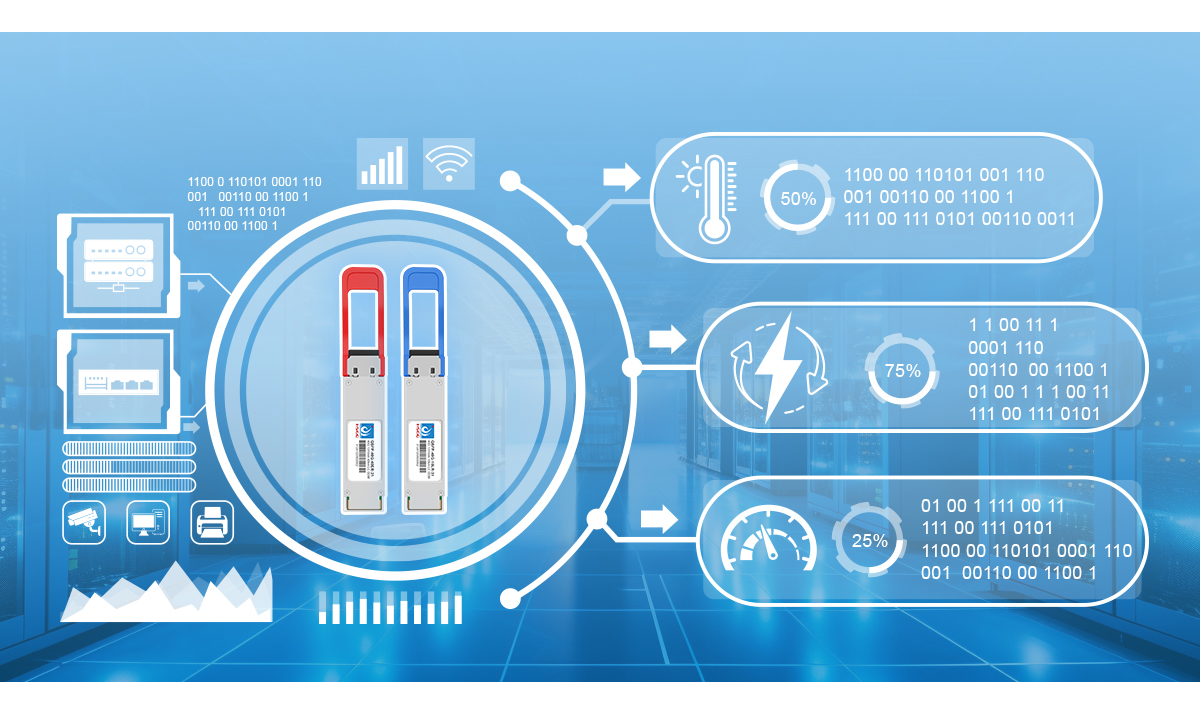 领先的 10G 性能和质量